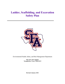 Ladder, Scaffolding, and Excavation Safety Plan