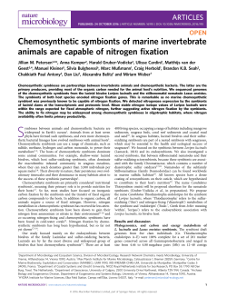 Chemosynthetic symbionts of marine invertebrate animals are