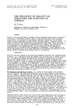 the influence of gravity on structure and function