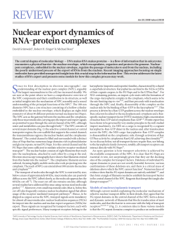 REVIEW - Albert Einstein College of Medicine