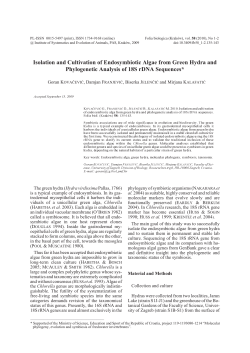 Isolation and cultivation of endosymbiotic alga from