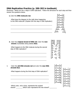 DNA Replication Practice (p. 200