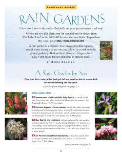 RAIN GARDENS