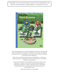 Author`s personal copy