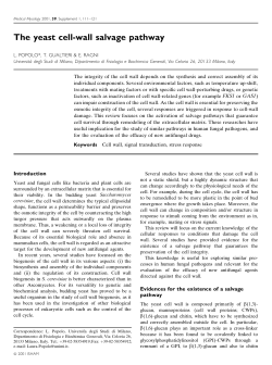 The yeast cell-wall salvage pathway