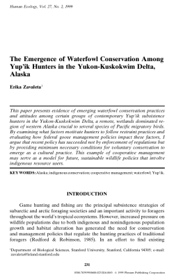The Emergence of Waterfowl Conservation Among Yup`ik Hunters in