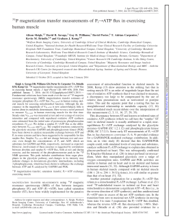 31P magnetization transfer measurements of Pi&rarr;ATP flux in