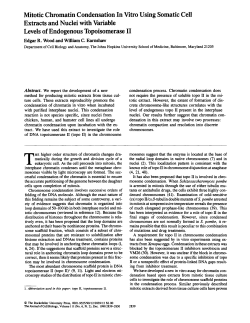 Mitotic Chromatin Condensation In Vitro Using