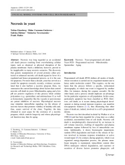 Necrosis in yeast - Tavernarakis Lab