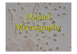 Digital Light Micrography