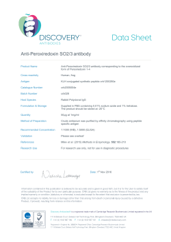 Anti-Peroxiredoxin SO2/3 antibody