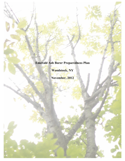 Emerald Ash Borer Preparedness Plan Woodstock, NY