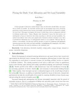 Pricing the Duck: Cost Allocation and Net Load Variability