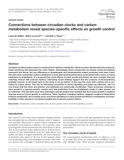 Connections between circadian clocks and