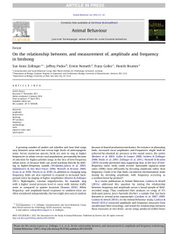 On the relationship between, and measurement of, amplitude and