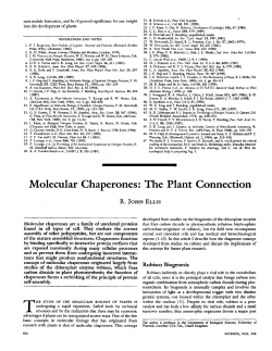 Molecular Chaperones: The Plant Connection