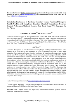 Orientation Preferences of Backbone Secondary Amide Functional