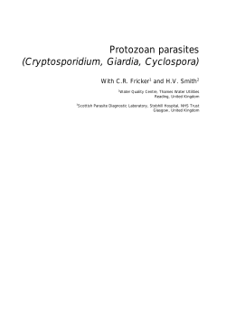 Protozoan parasites (Cryptosporidium, Giardia, Cyclospora)