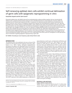 Self-renewing epiblast stem cells exhibit continual