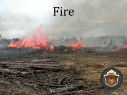 Fire - Virginia Forest Landowner Education Program