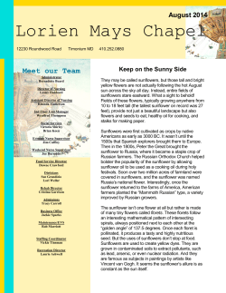 Lorien Mays Chapel - Lorien Health Systems