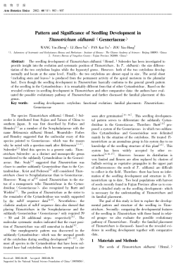 Pattern and Significance of Seedling Development in Titanotrichum