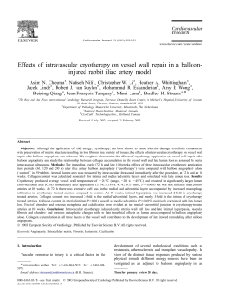 E ffects of intravascular cryotherapy on vessel wall repair in a balloon