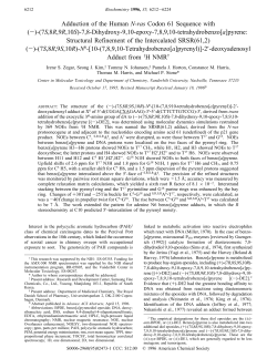 Adduction of the Human N-ras Codon 61 Sequence with (-)