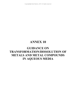 annex 10