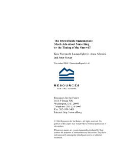The Brownfields Phenomenon: Much Ado about Something or the