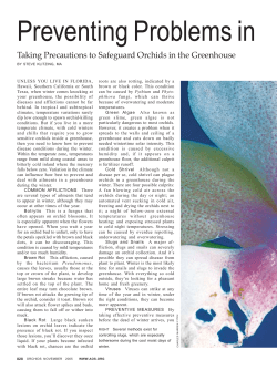 Preventing Problems in - The American Orchid Society