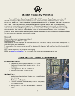 Cheetah Husbandry Workshop