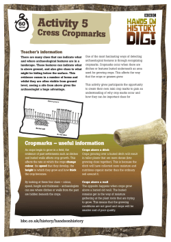 Activity 5 - Cress Cropmarks