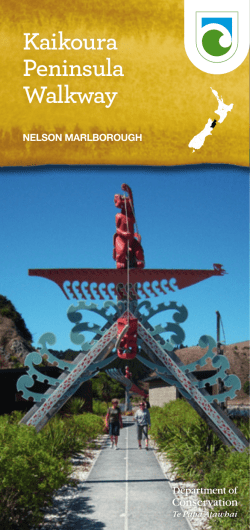Kaikoura Peninsula Walkway brochure