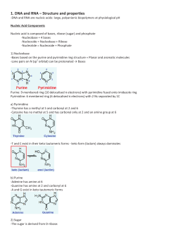 1. DNA and RNA &ndash; Structure and properties