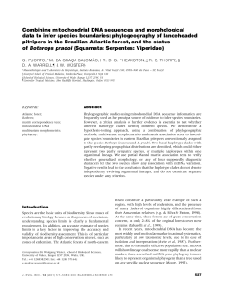 Combining mitochondrial DNA sequences and morphological data