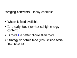 Principles of Animal Behavior, Third Edition