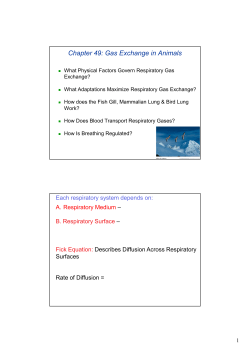 Chapter49 Gas Exchange Notes [Compatibility Mode]