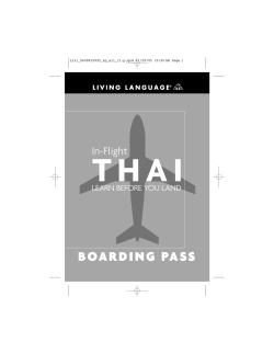 In-Flight Thai