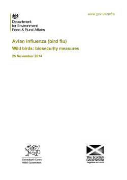 Wild birds: biosecurity measures