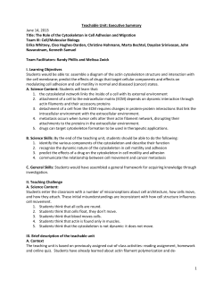 Cytoskeleton Cell Migration and Adhesion (framework) WVU 2013