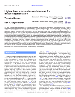 Higher level chromatic mechanisms for image segmentation