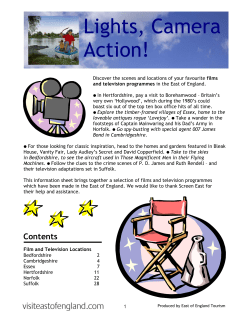 Lights, Camera Action!