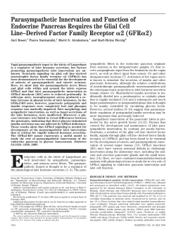 Parasympathetic Innervation and Function of Endocrine Pancreas
