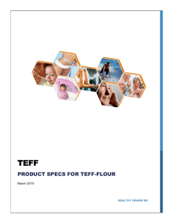 Teff flour gluten free | technical data sheet PDF