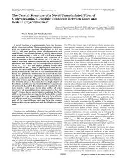 The Crystal Structure of a Novel Unmethylated Form of C