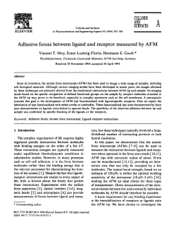 Adhesive forces between ligand and receptor measured by AFM