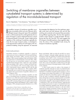 Switching of membrane organelles between cytoskeletal transport
