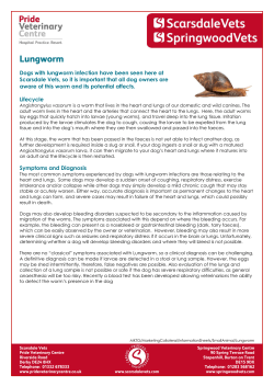 Lungworm - Pride Veterinary Centre