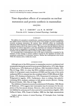 Time-dependent effects of a-amanitin on nuclear